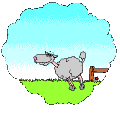 sop.gif (16402 bytes)
