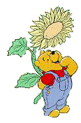 pooh_sun.gif (10280 bytes)