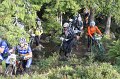 IMG_8795