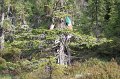 IMG_8817