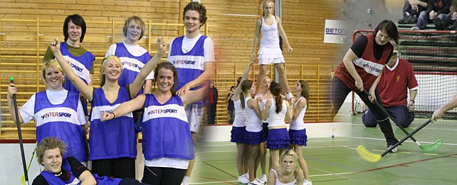 Bandyfinaler 2009