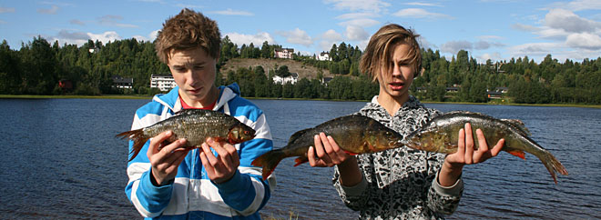 Stor fisk i Prestsjøen