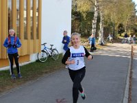 IMG 2979