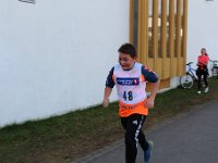 IMG 2986