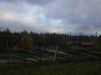 IMG 0137